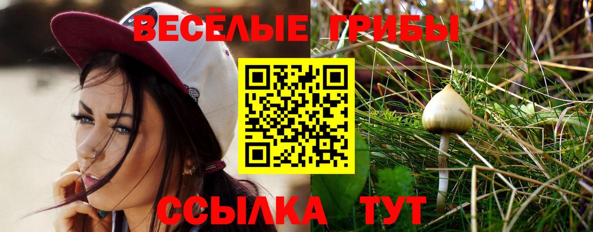 закладка  Галлюциногенные грибы мицелий  Вход с VPN  Галлюциногенные грибы Psilocybine cubensis  Ржев 