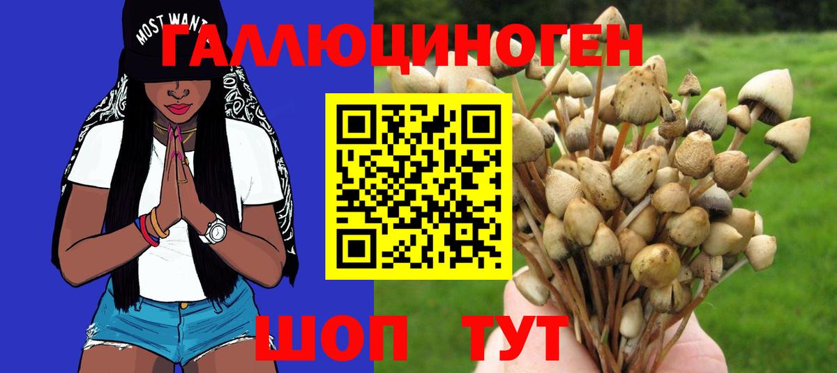 Галлюциногенные грибы Magic Shrooms Ржев