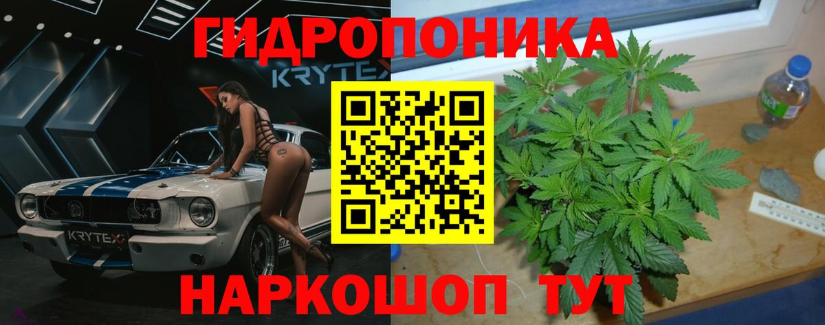 Марихуана OG Kush Ржев